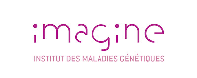Imagine institut