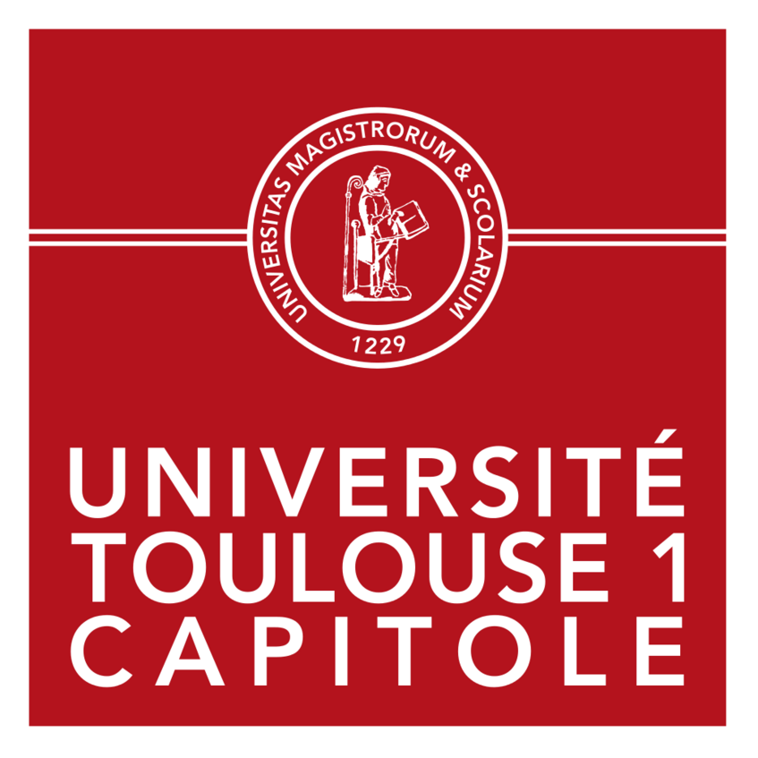 Toulouse université